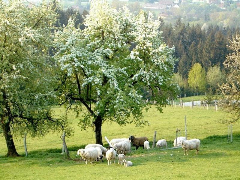 Ferienhaus Huber Bleiburg Exteriör bild