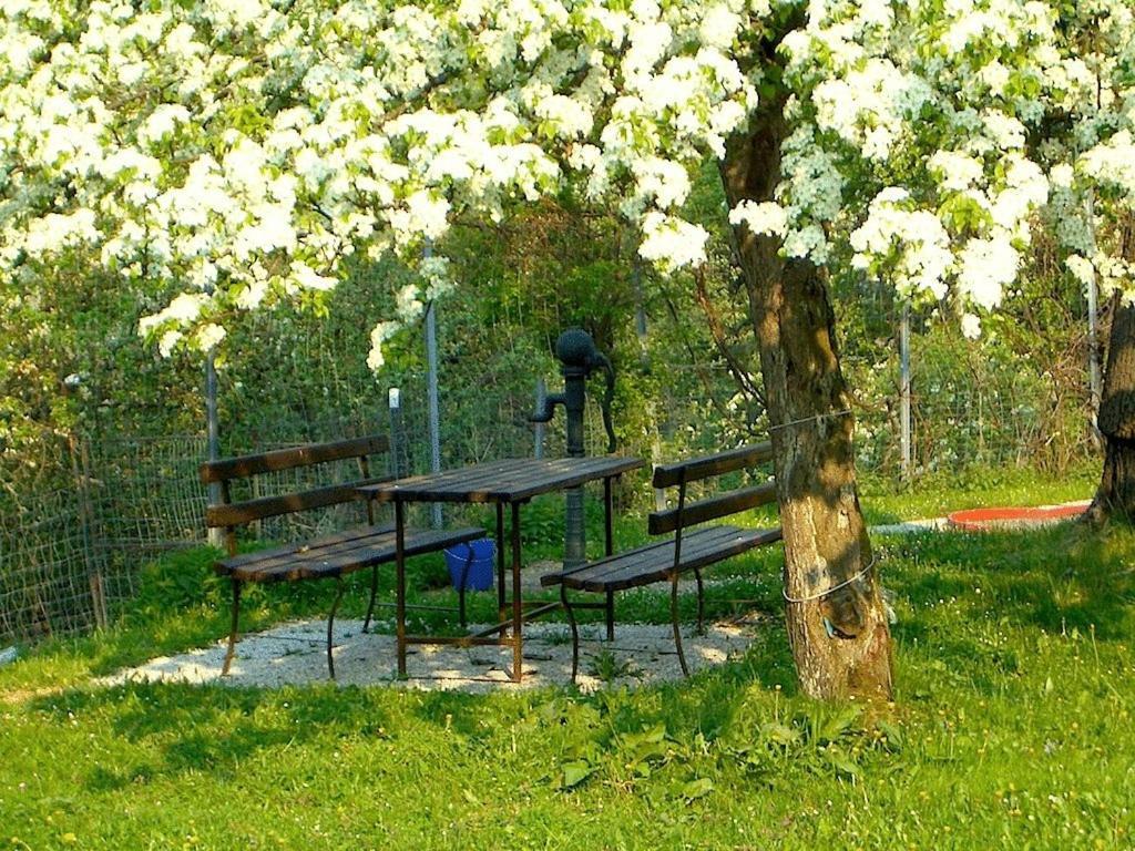 Ferienhaus Huber Bleiburg Exteriör bild